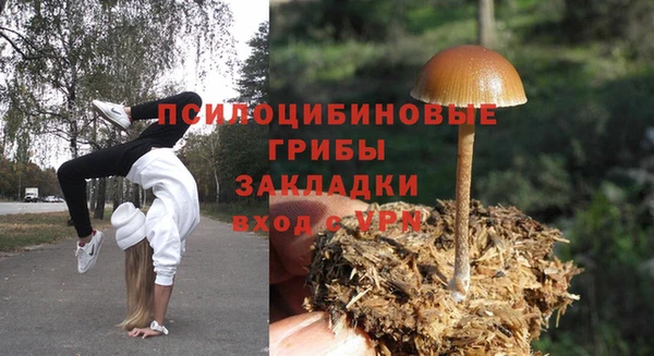 дживик Алексеевка