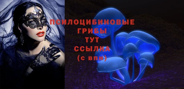прущий лед Аркадак