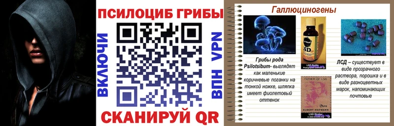 Галлюциногенные грибы прущие грибы Боровск